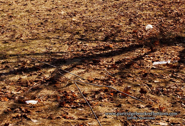 Getting it Right in the Digital Camera Editing Your Photos With the "BlowUp" Scan